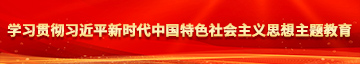 草逼很黄的视频学习贯彻习近平新时代中国特色社会主义思想主题教育